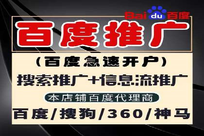 成功运用SEM服务实现品牌快速成长的案例